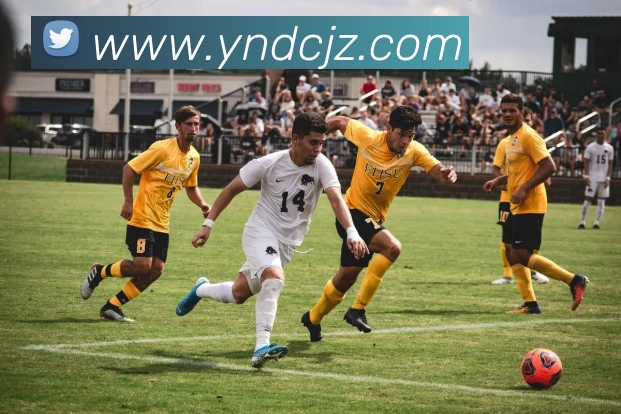奖项3